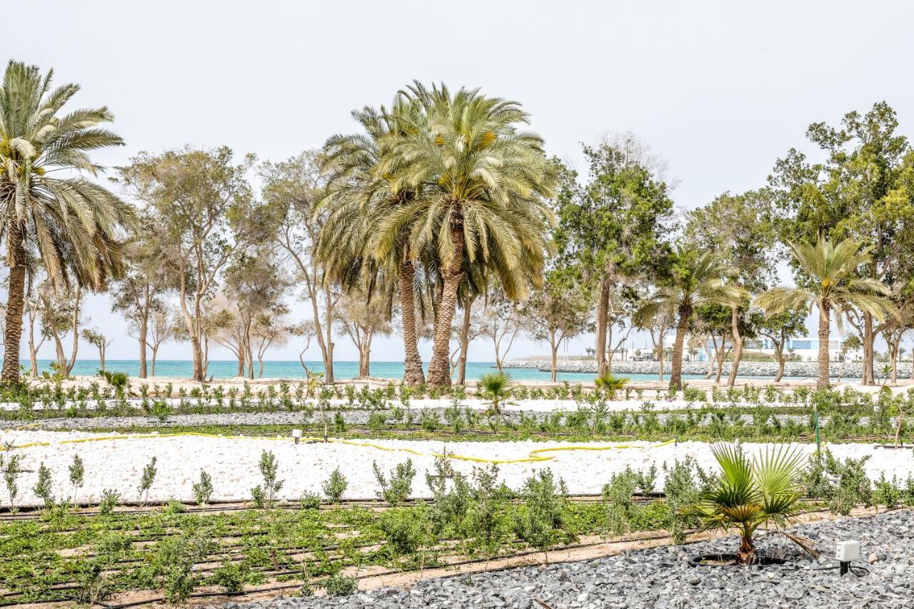 Dhafra Beach Hotel Jebel Dhanna Bagian luar foto